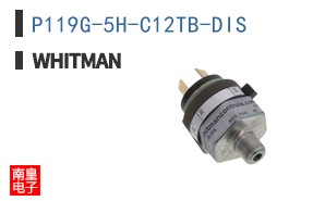 P119G-5H-C12TB-DIS ͼƬ